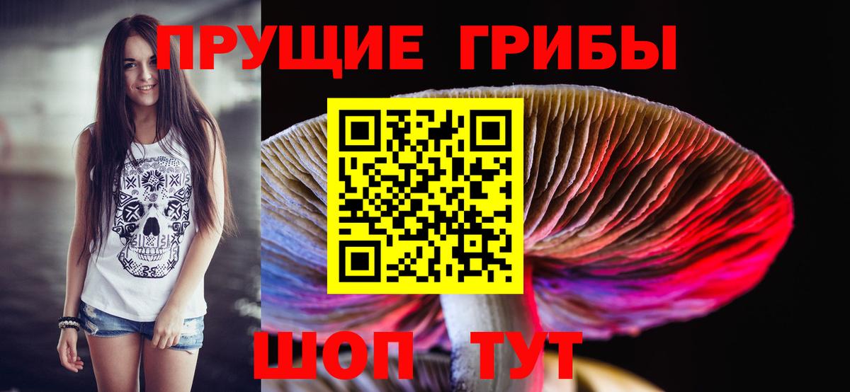 Североуральск  Псилоцибиновые грибы GOLDEN TEACHER  Вход с VPN 